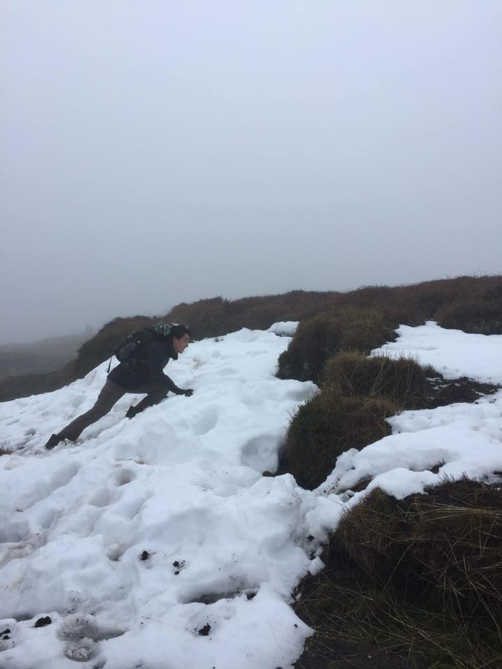 24232944_407360319681215_9172912650080723616_n