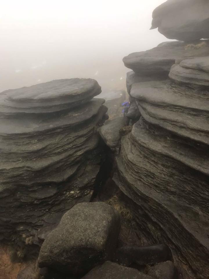 24296724_407360143014566_7572657250995422442_n