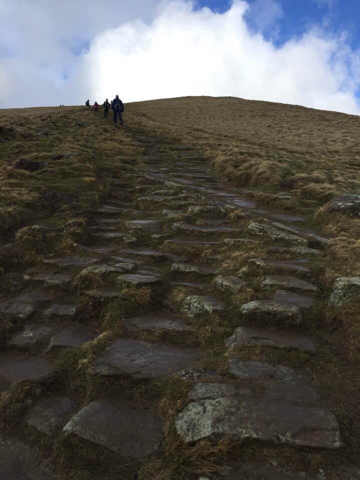 28056337_441788986238348_7976452732796329484_n