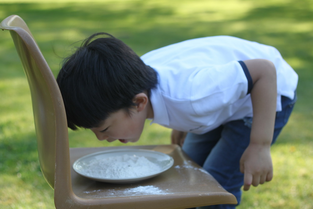 IMG_7111_resize - Copy