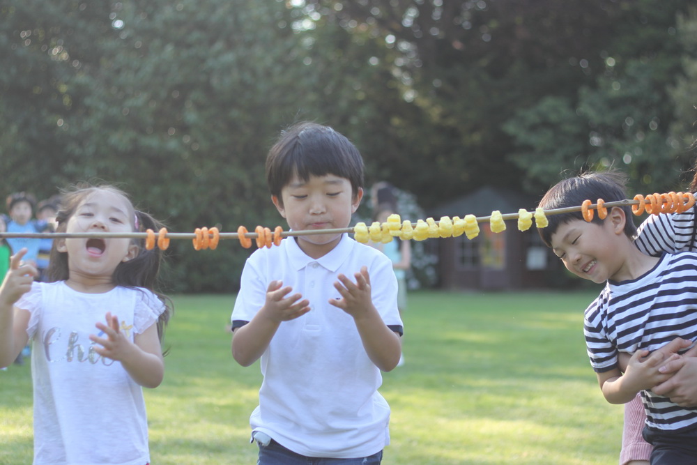 IMG_7137_resize - Copy