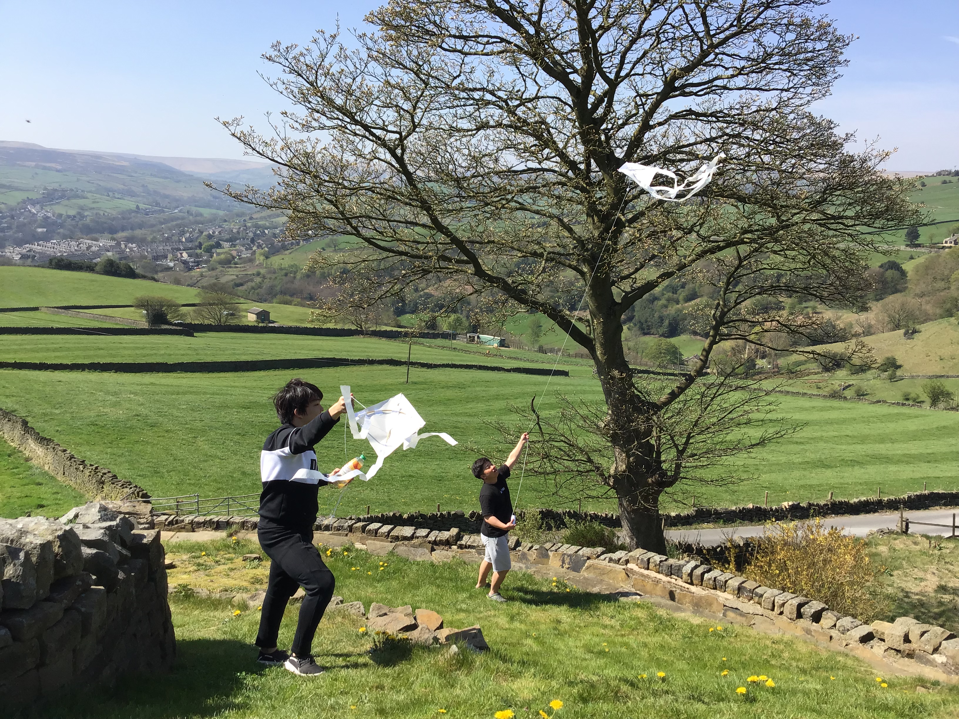 26135DD2-33A1-4DBF-9212-E011BECB2CEB