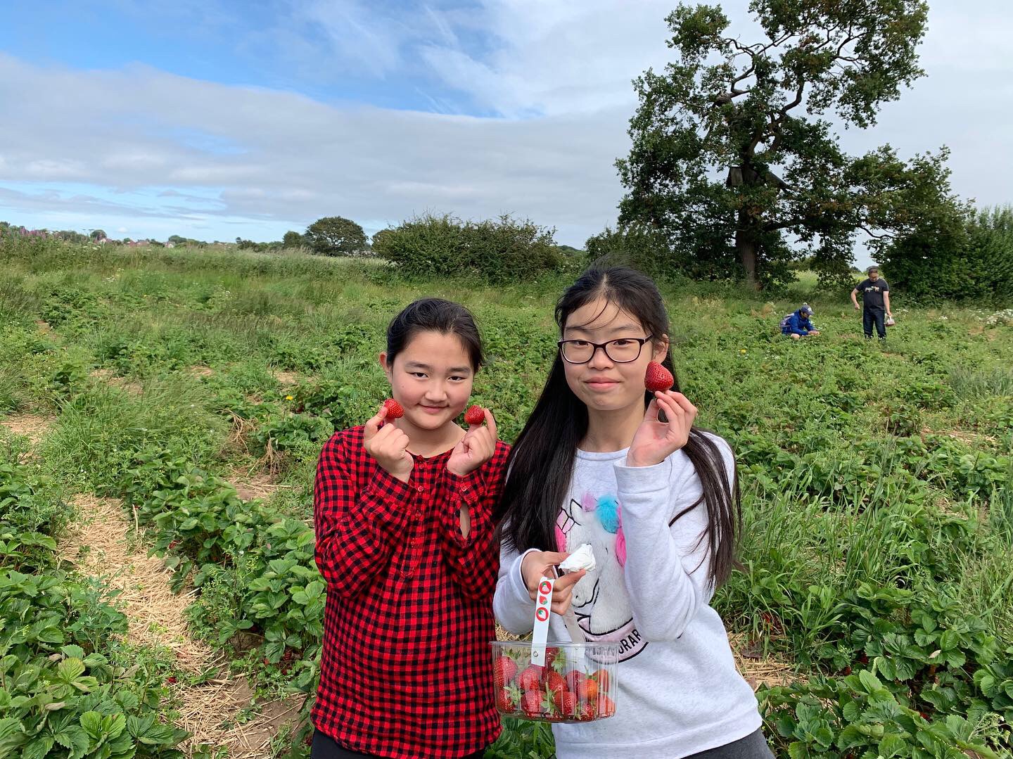 8C018622-E4A3-4FF3-8A12-BDA762015BC5