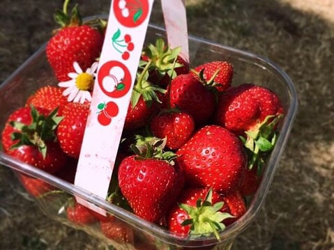 9CC96516-B3F0-468E-81E8-A29C9E4FB57E